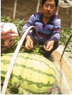 吃瓜说娱乐大西瓜,大西瓜带你领略娱乐圈新鲜事